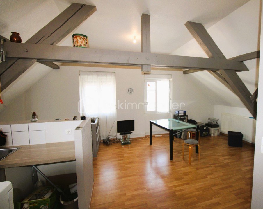 Appartement 3 pièces 54 m² Wittenheim