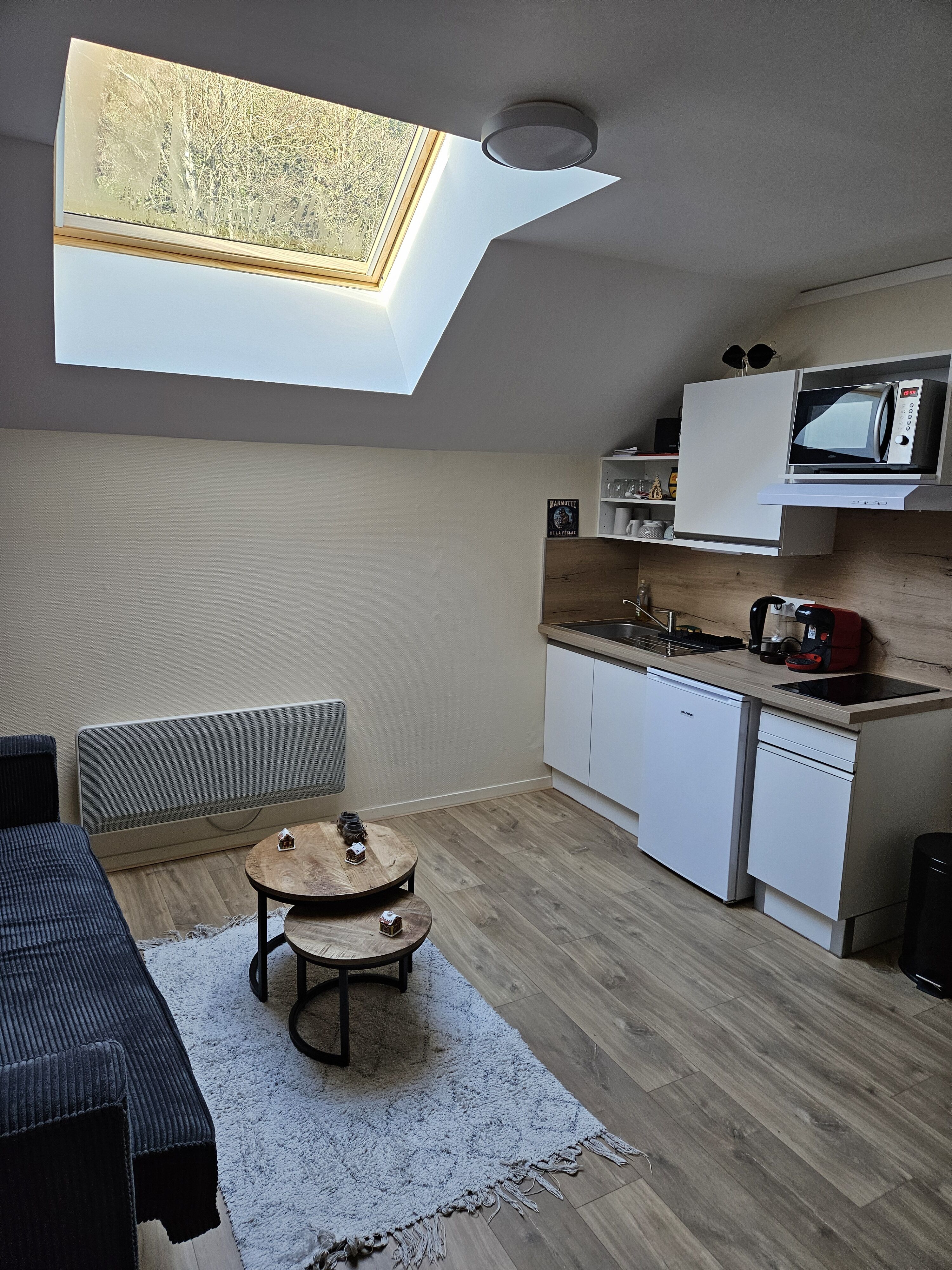 Appartement 1 pièce 25 m² Saint-Alban-Leysse
