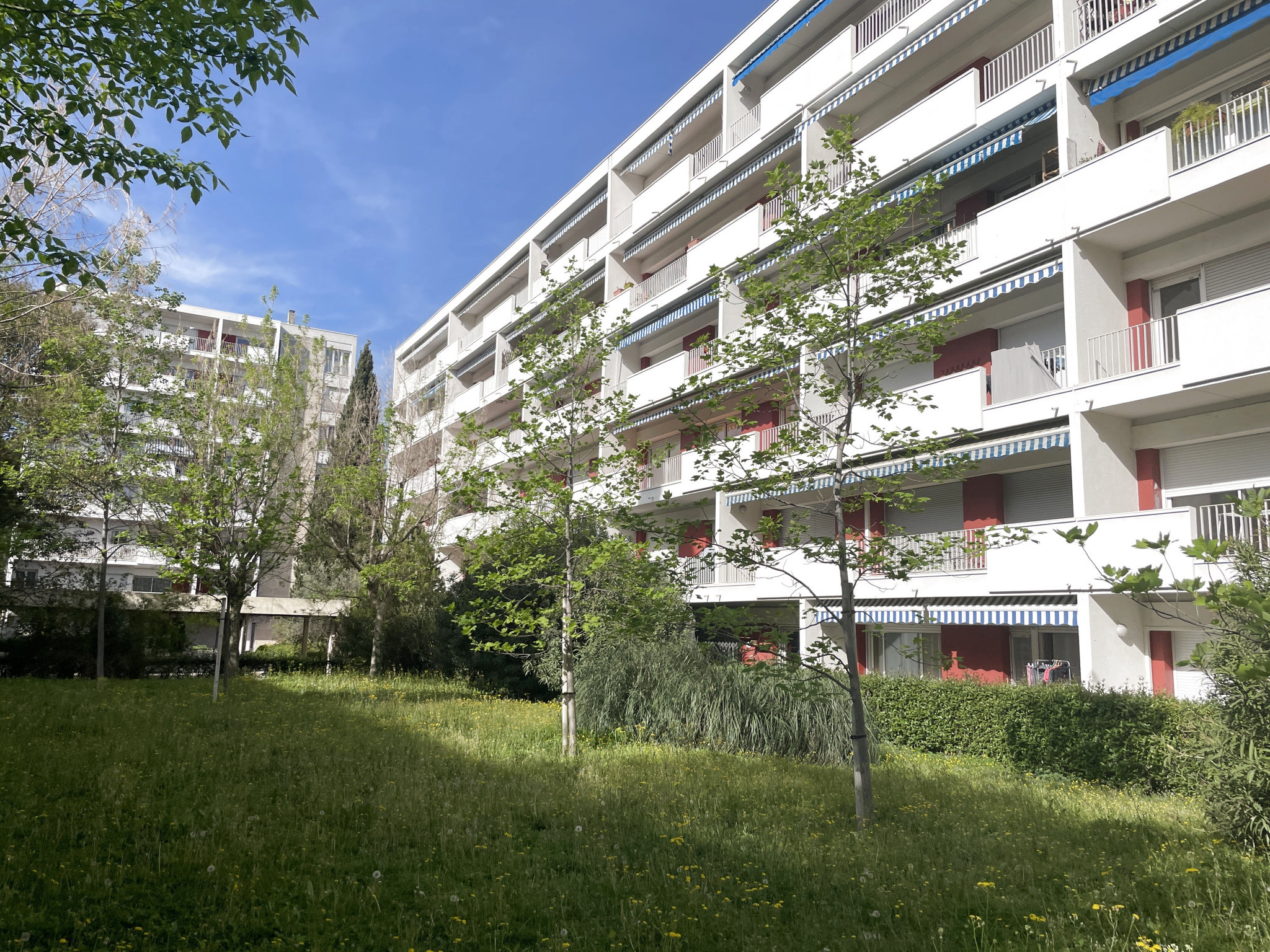Appartement 3 pièces 68 m² Saint-Jean-de-Védas