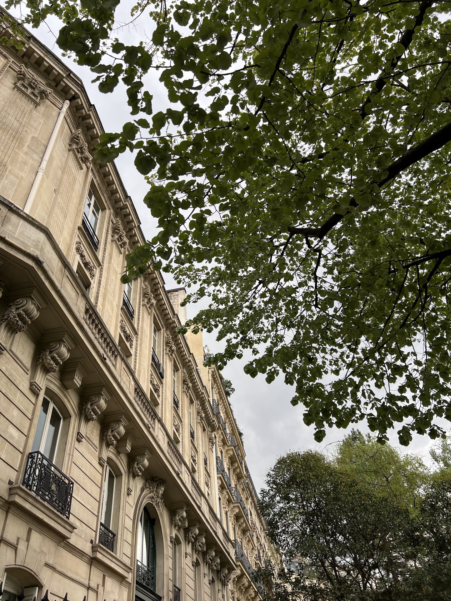 Appartement a louer paris-1er-arrondissement - 5 pièce(s) - 245 m2 - Surfyn