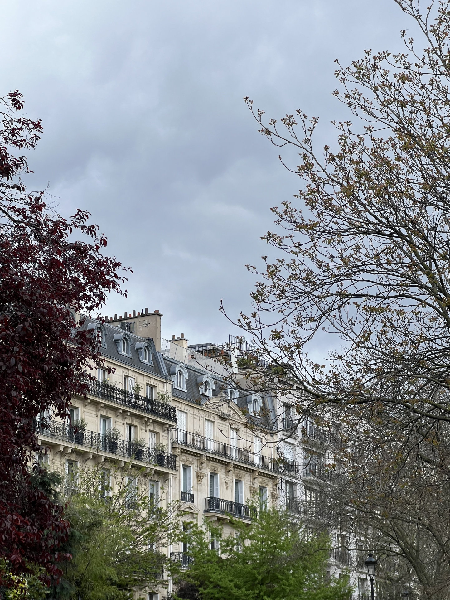 Appartement a louer paris-1er-arrondissement - 5 pièce(s) - 245 m2 - Surfyn