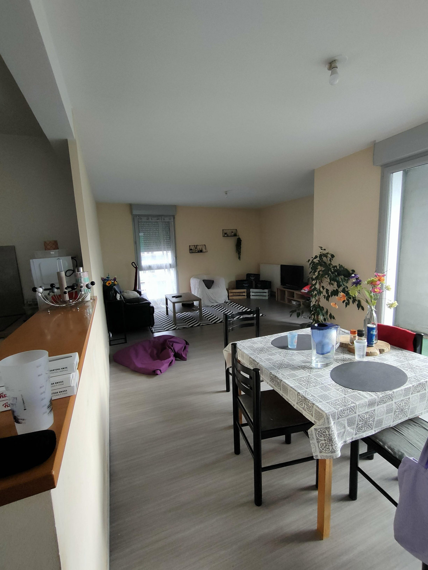 Appartement 3 pièces 67 m² Rennes