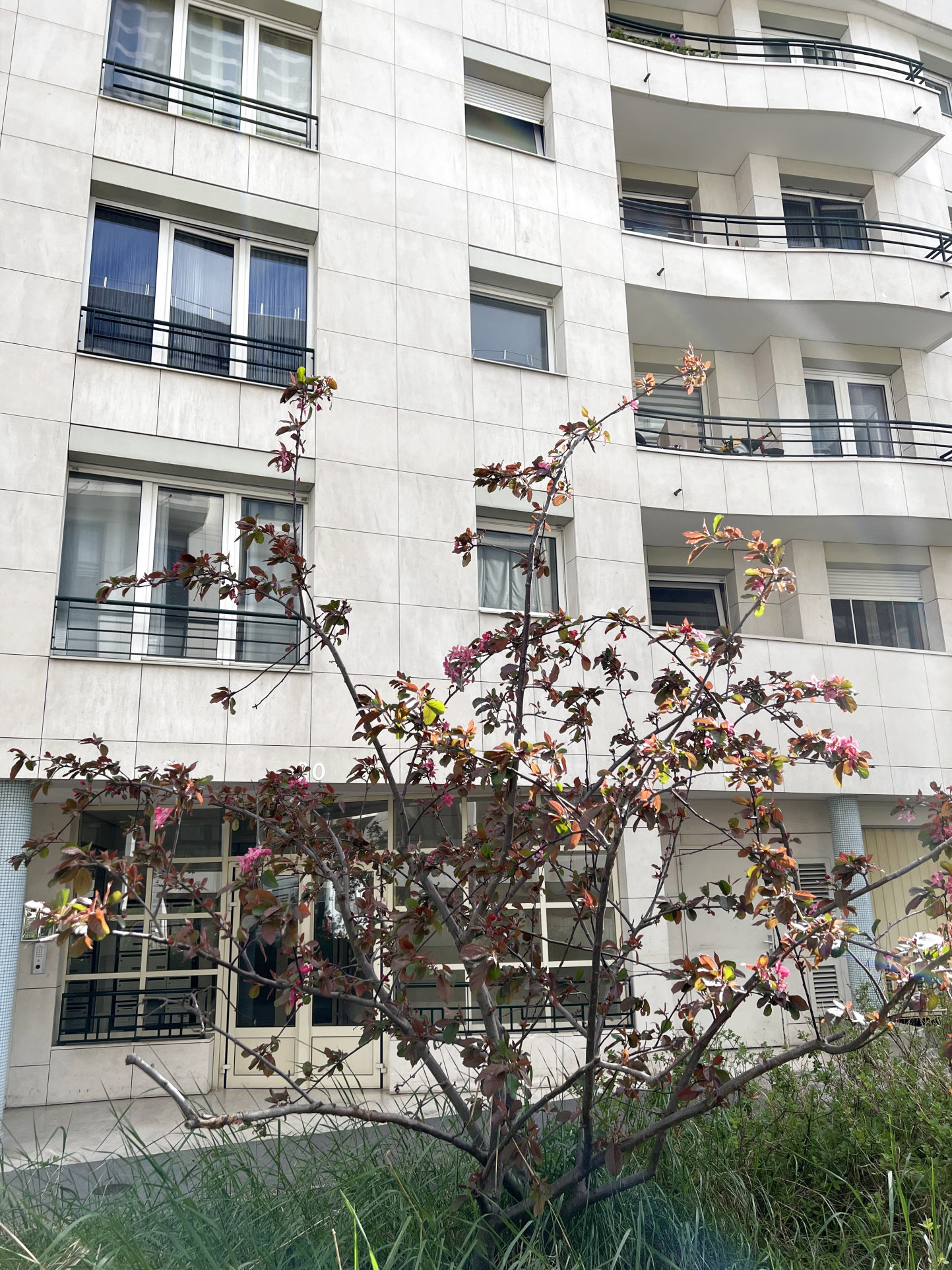 Appartement a louer courbevoie - 1 pièce(s) - 33.17 m2 - Surfyn