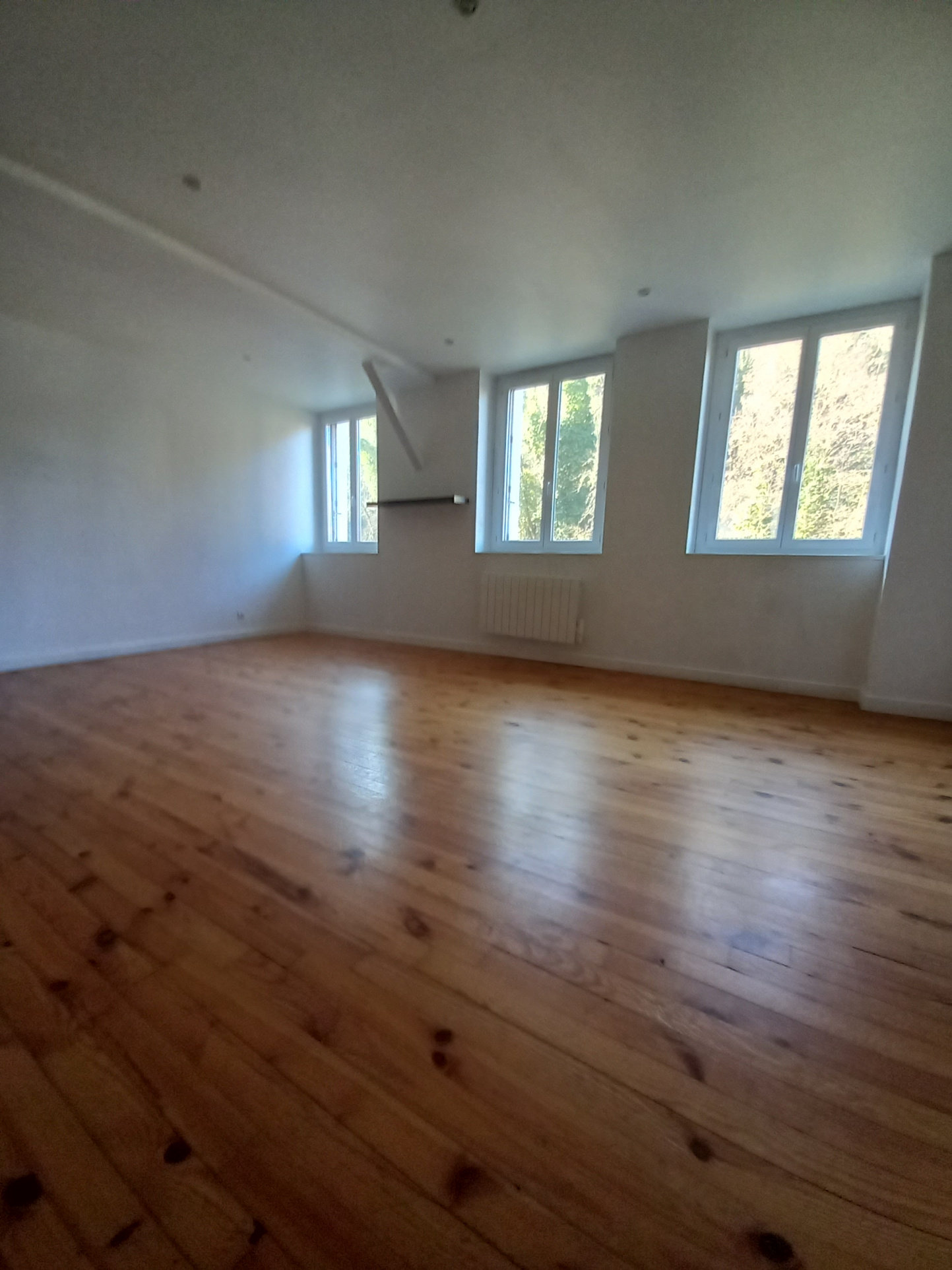 Appartement 5 pièces 130 m² Vienne