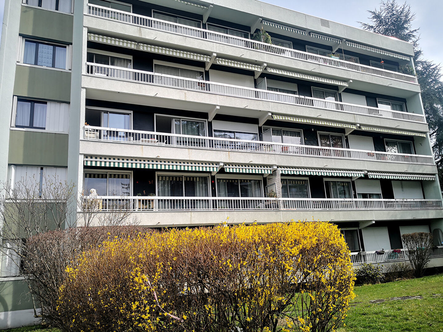 Appartement 4 pièces 95 m² Cournon-d'Auvergne