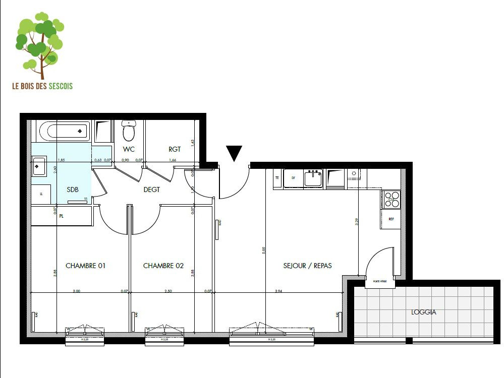 Appartement 3 pièces 59 m² Bois-le-Roi