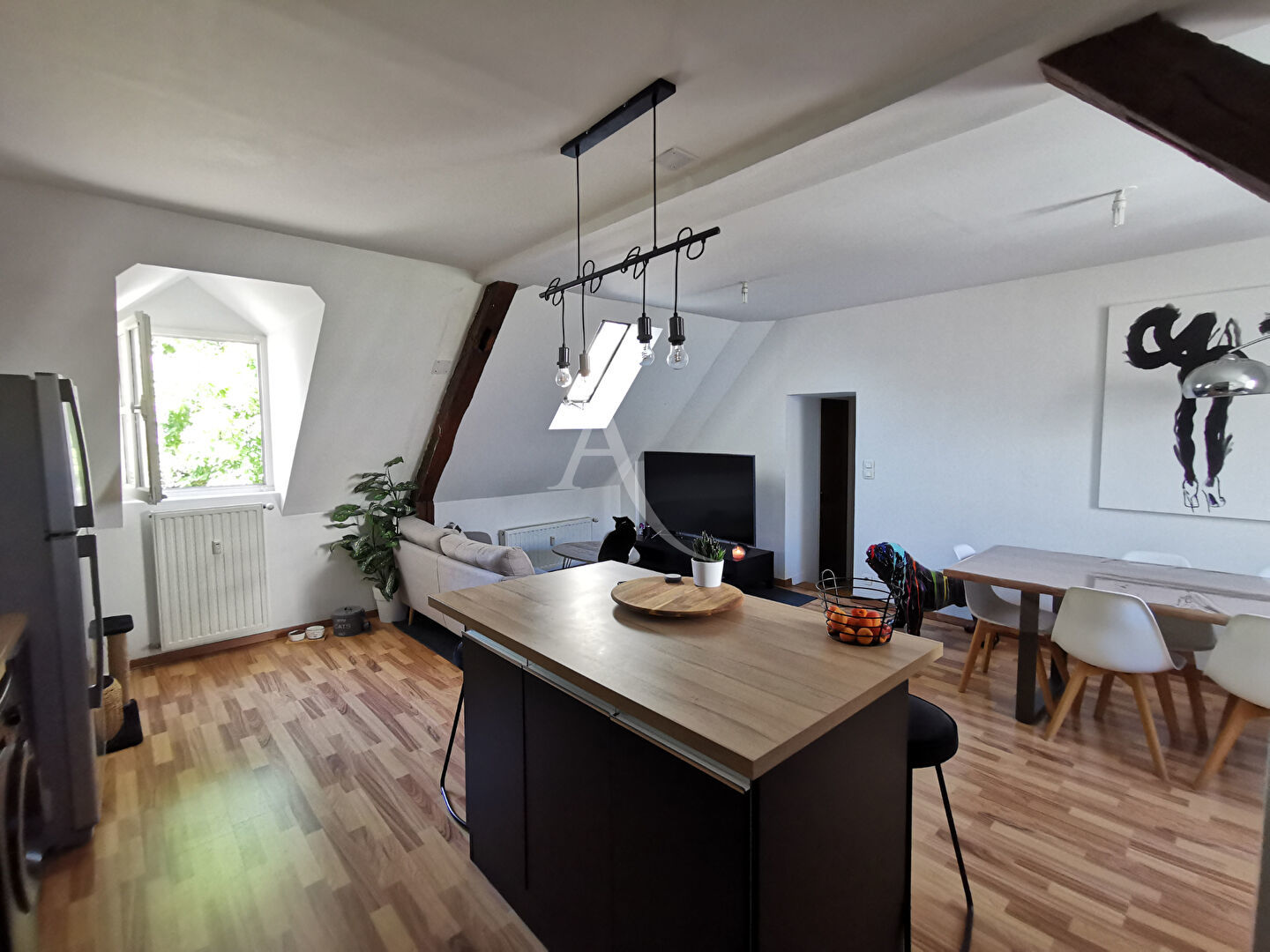 Appartement 3 pièces 82 m² Blois
