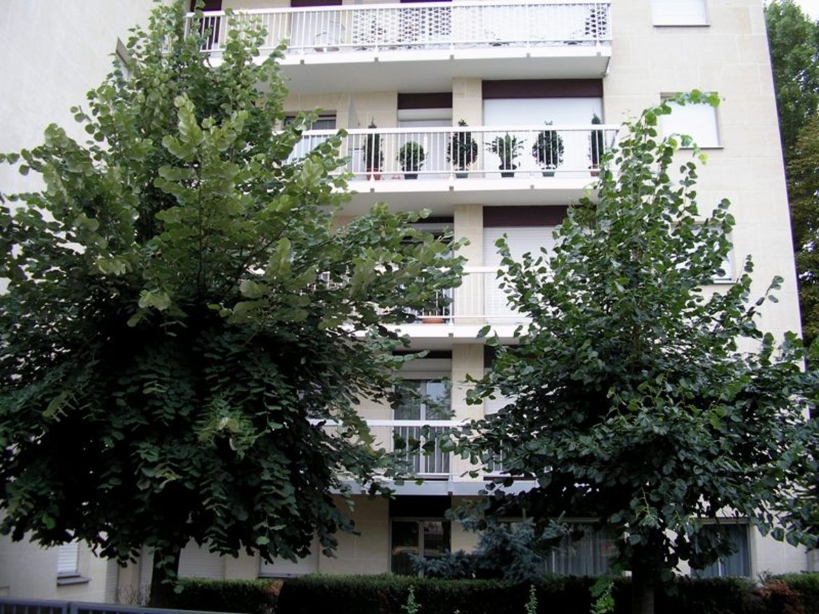 Appartement a louer bourg-la-reine - 1 pièce(s) - 26.5 m2 - Surfyn